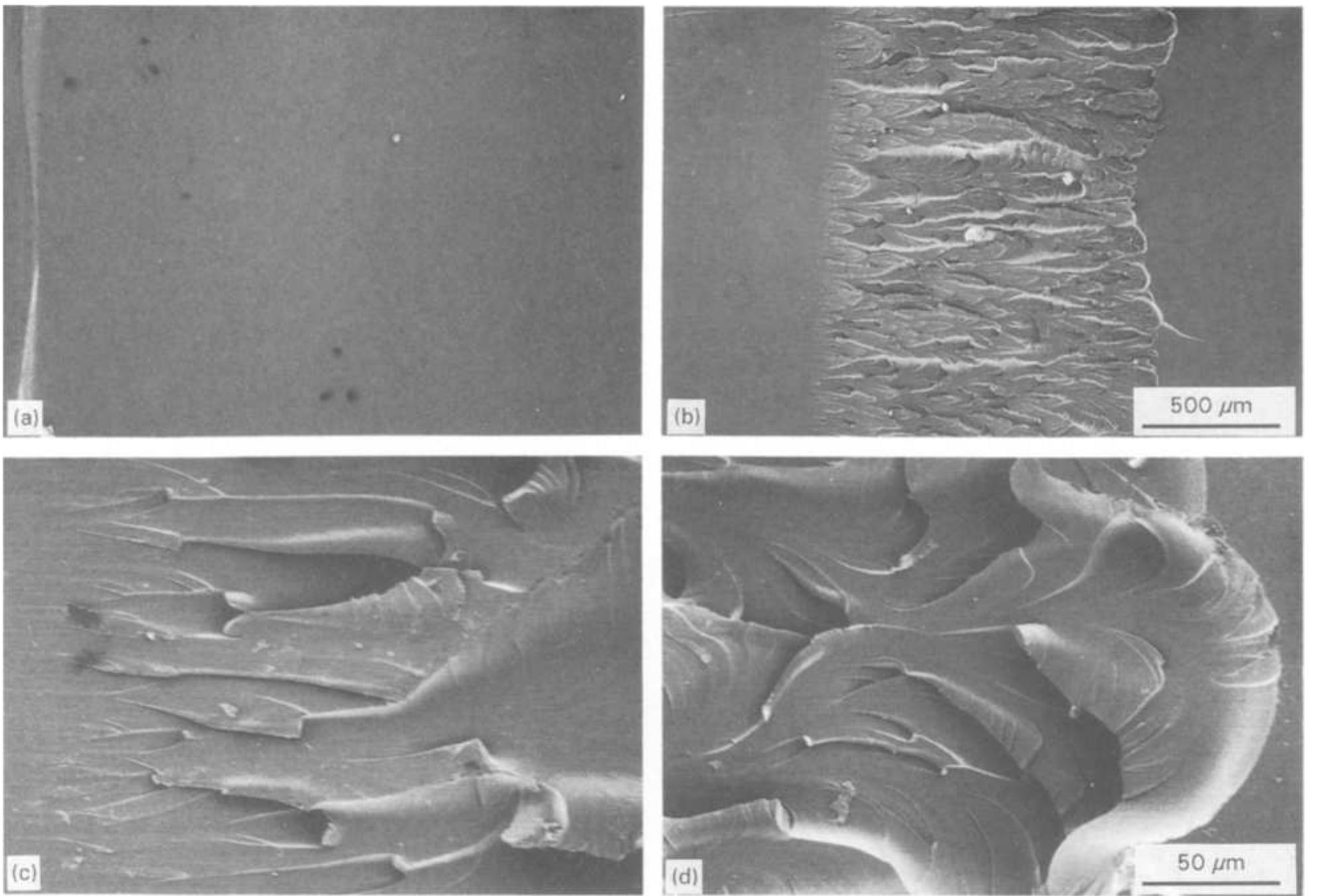 Scanning electron micrographs of the fracture surfaces of