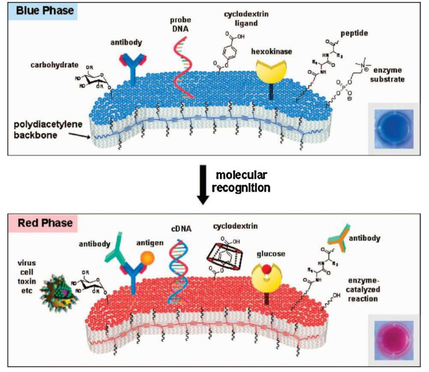 Pcda Sensor A schematic representation of selected affinochromism type