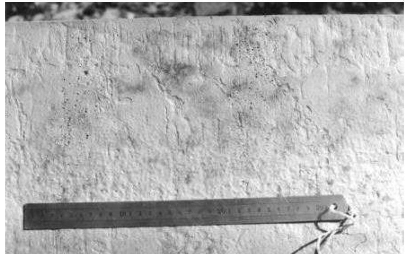 (PDF) Minimization of surface defects on bars and wire rod originated ...