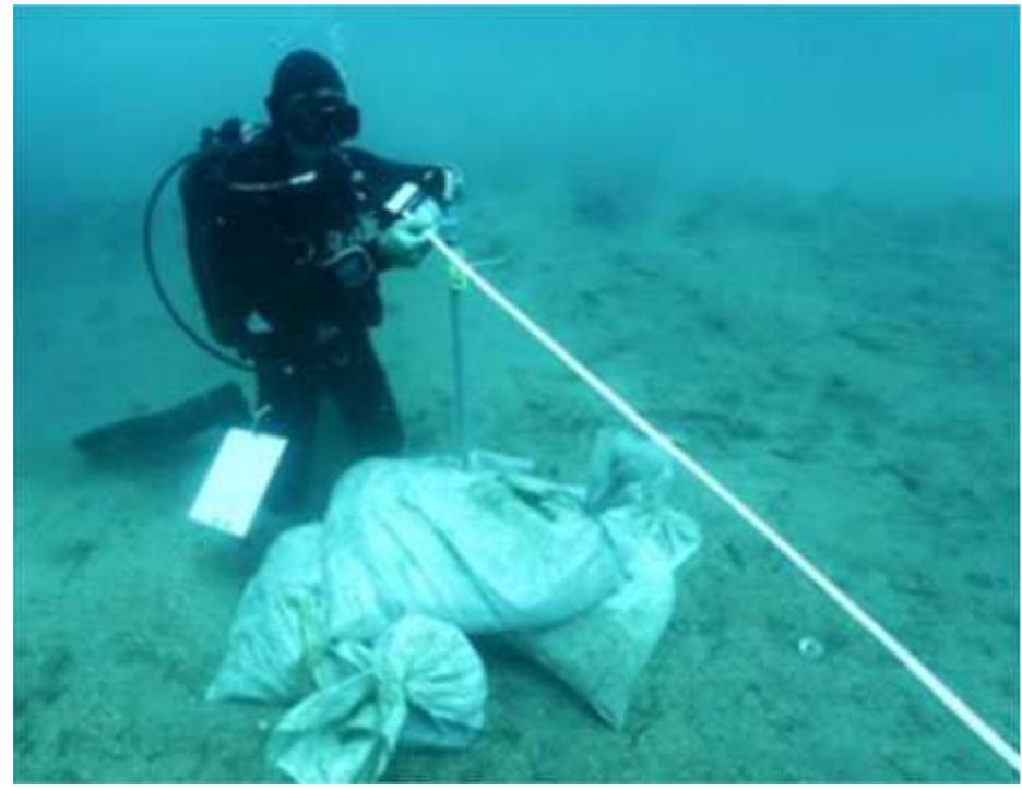Fig. 9 Diver taking the measurement to a control point at Gnali¢é (J. Pandozi) 