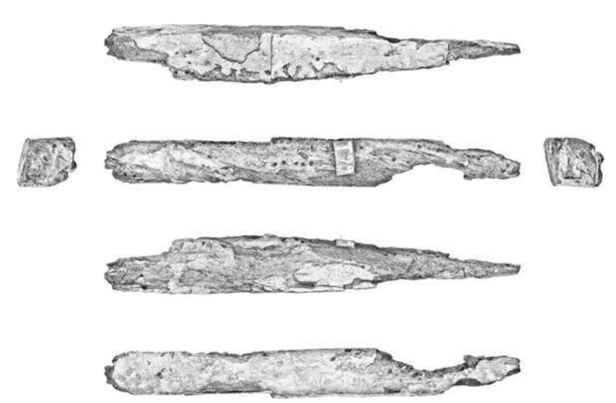 Fig. 18 Experiment with frame timber T99, from the Gnali¢ shipwreck (K. Yamafune) 