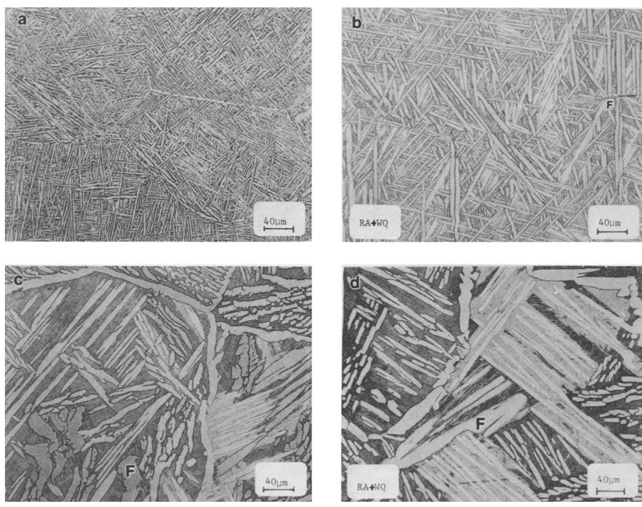 (PDF) Modification of alpha morphology in Ti-6Al-4V by thermomechanical ...