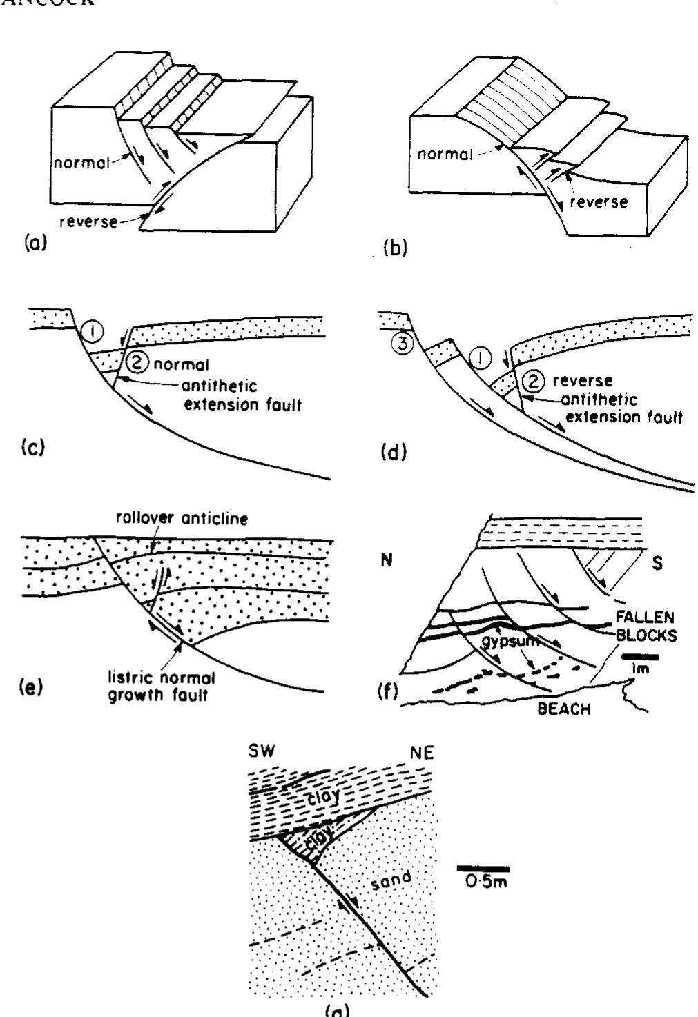 (PDF) Brittle microtectonics: principles and practice