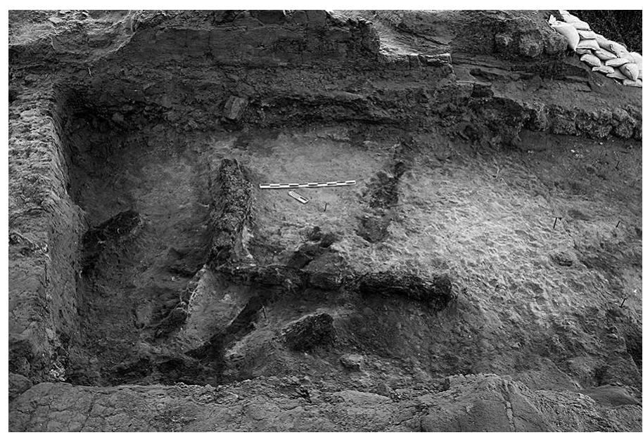 FIG. 20. Timbers (JCHP 277, 318, 278, 284, and 282) within the phase RG-4a (level IVB) destruction debris (L.3108, 3146, and 3157), view to the north (JCHP photograph 2013-P0539).  FIG. 19. Aerial view of the phase RG-4a gate (level IVB) follow- ing 2013 excavations (JCHP photograph 2013-P0525). North is at the top of the photograph. Boulders within the eastern part of the passageway are remains of the level IVA threshold left by Kaplan. Note the concrete reconstruction by the Israel Antiqui- ties Authority of the Ramesses II facade from the 1990s, at right. 