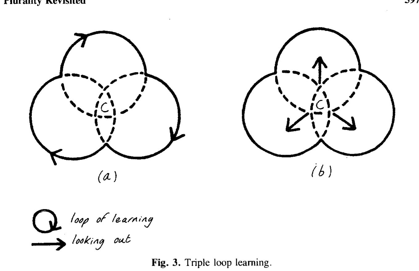 (PDF) Plurality revisited: diversity management and triple loop learning