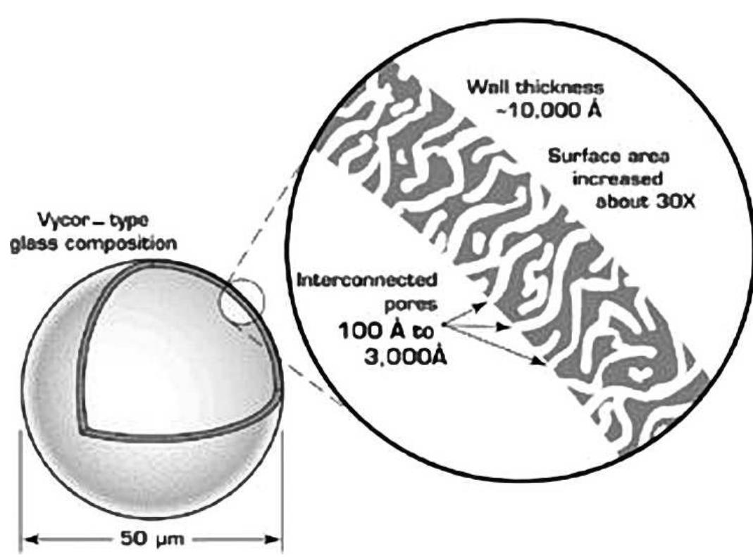 Schematic representation of a srnl microsphere and its wal