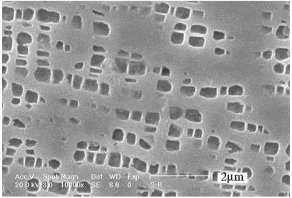 Microstructure of the rene 80 sample after standard heat