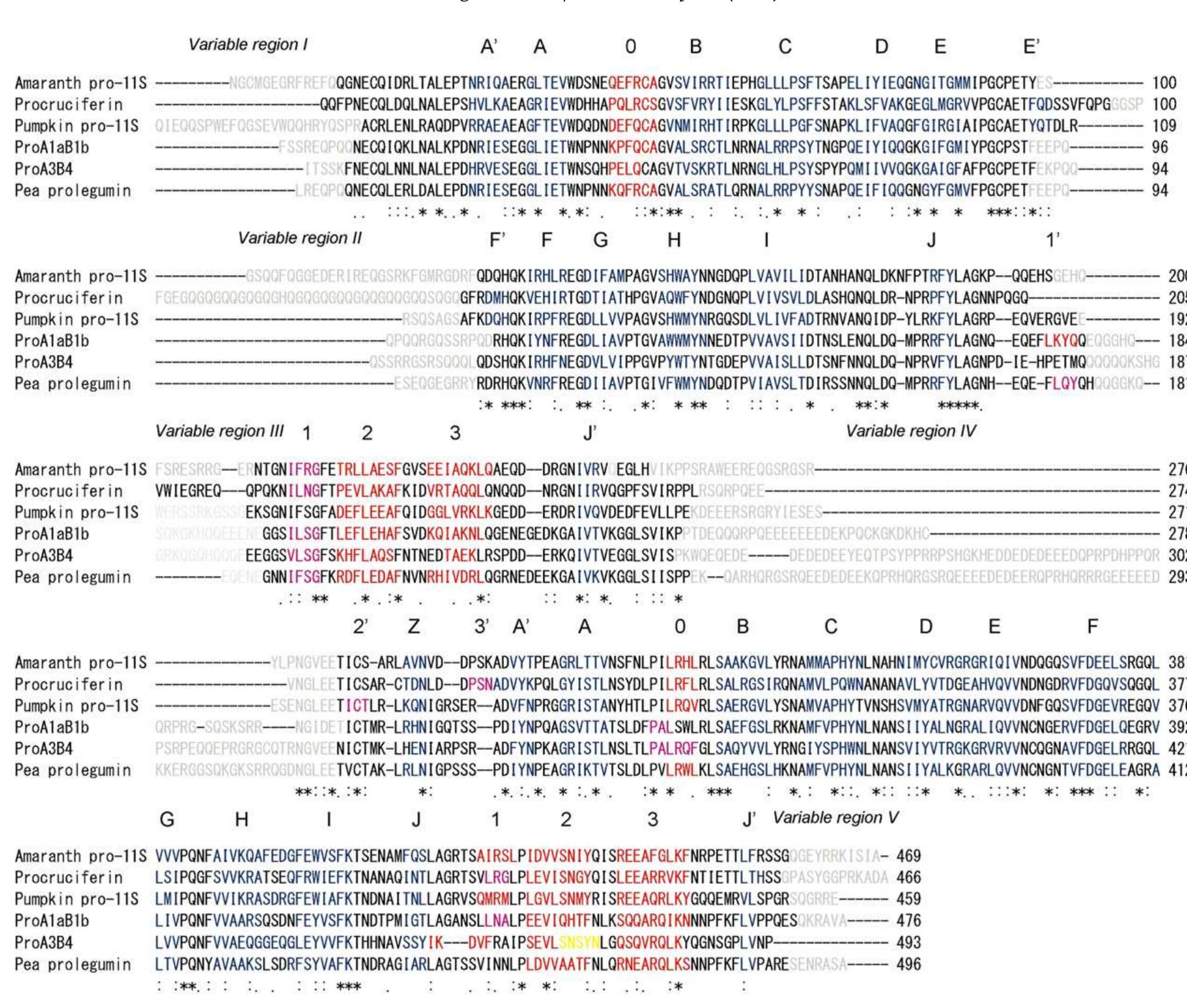 Tyr349-gly353 and its 2f, — f. map contoured at 1.0c. atoms
