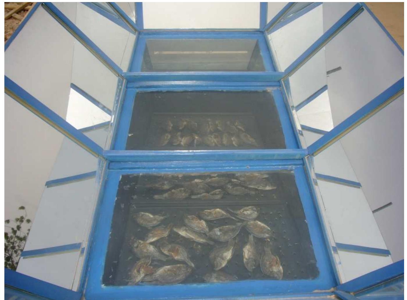 Figure 2 - from PERFORMANCE EVALUATION OF SOLAR FISH DRYER