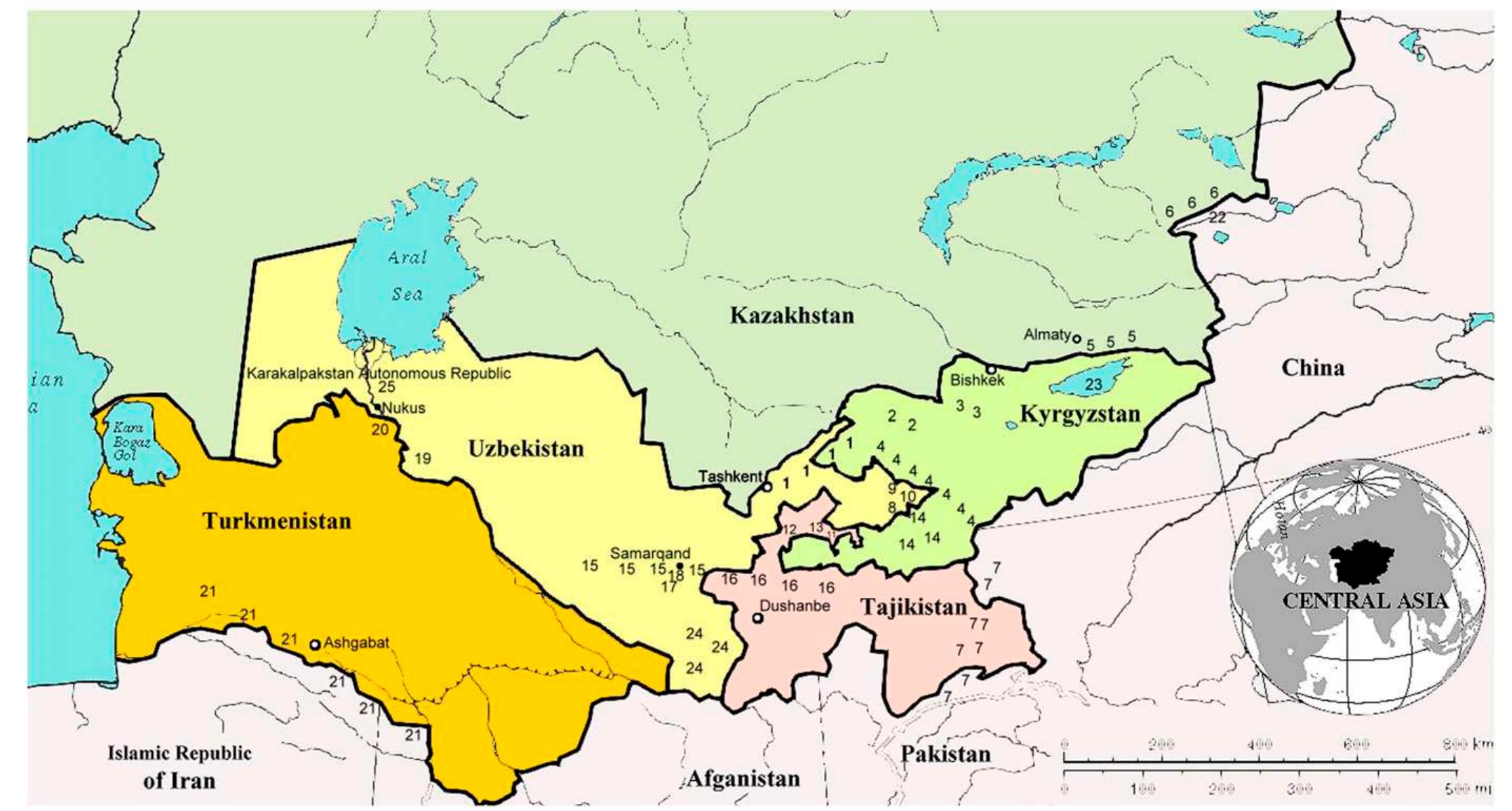 (PDF) Genetic Resources of Apricots (Prunus armeniaca L.) in Central Asia
