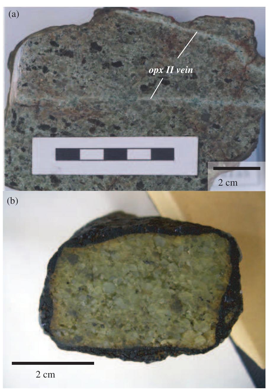 Metasomatic Textures Figure 2 - from Low water contents in pyroxenes from