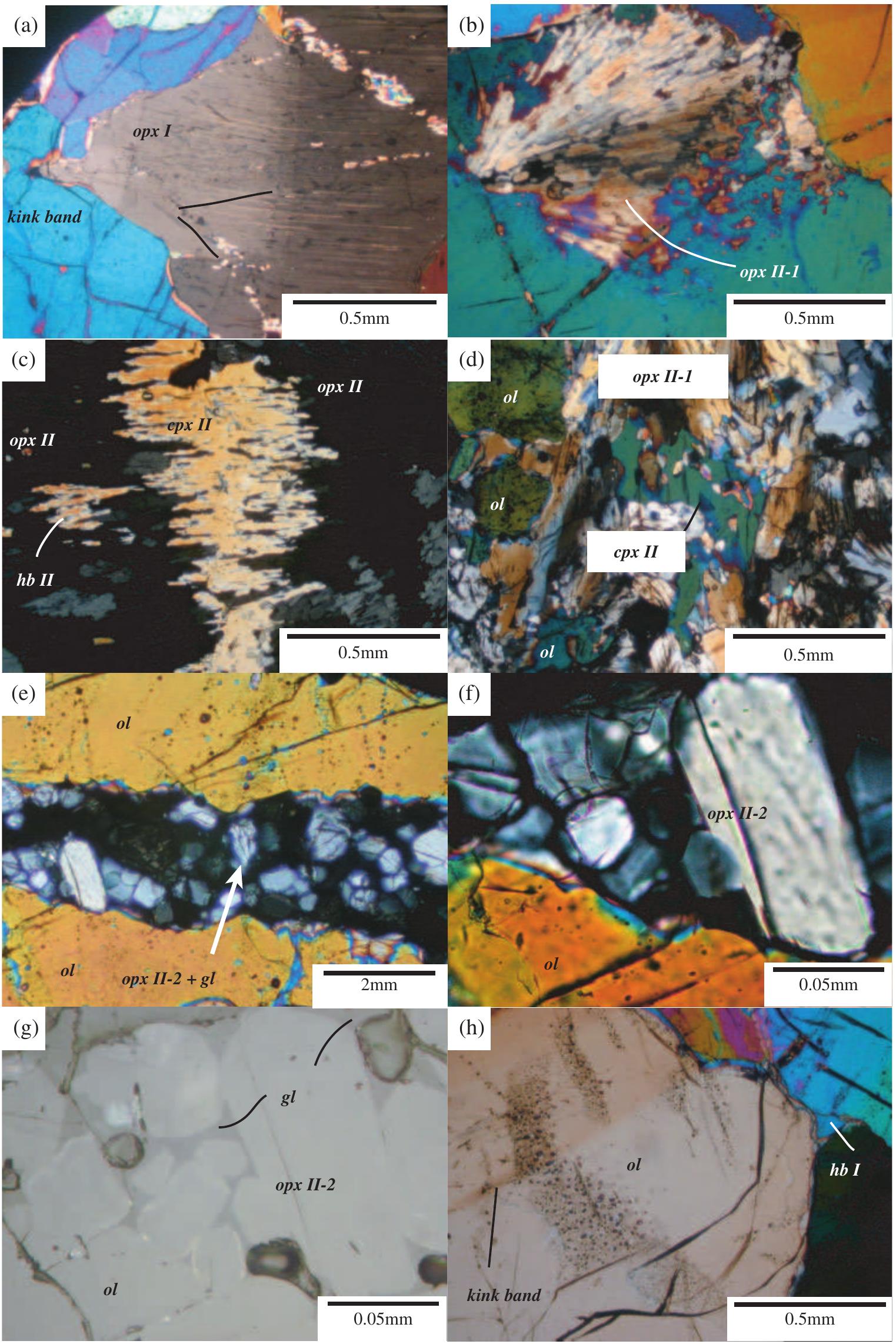 Figure 2 - from Low water contents in pyroxenes from