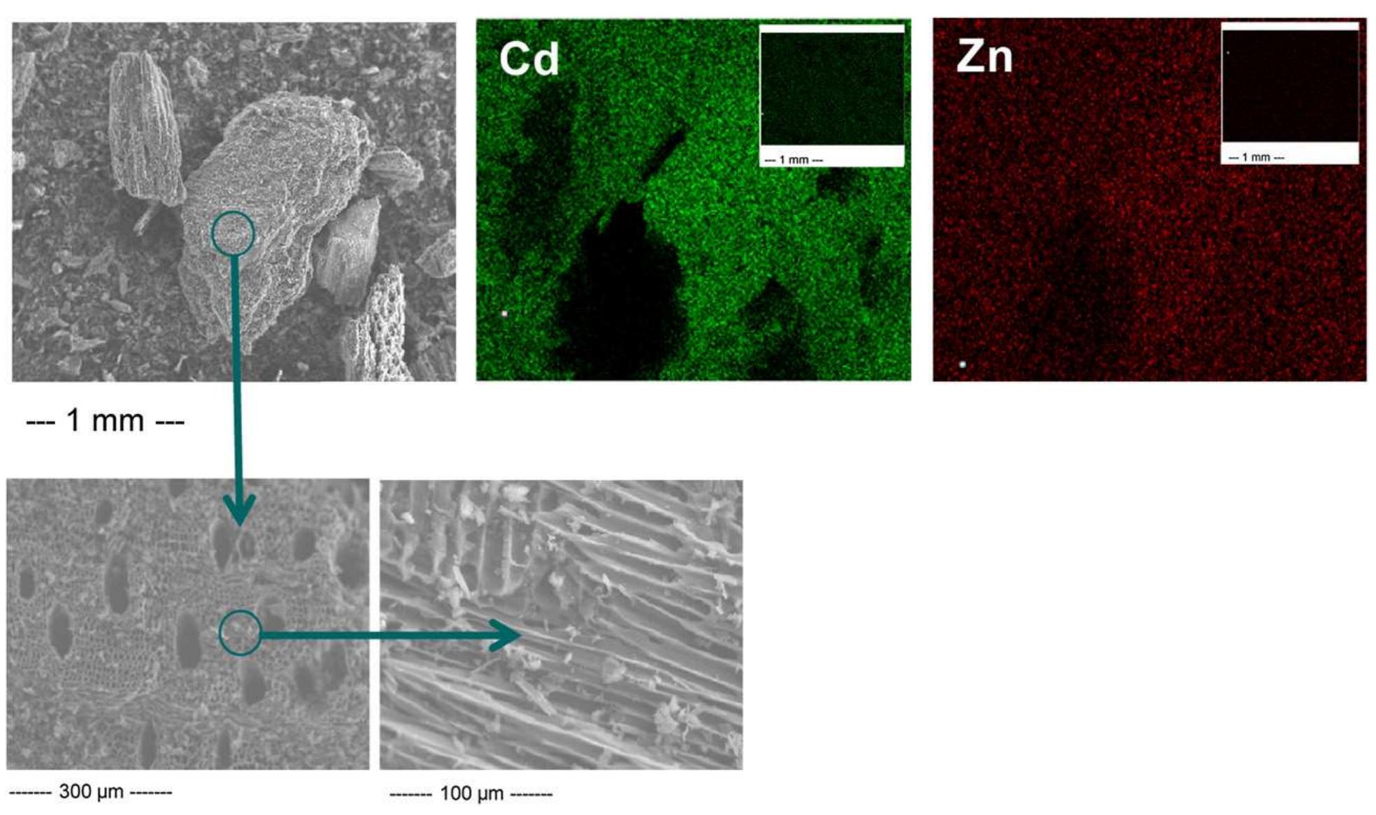 Figure 1 - from A review of biochars’ potential role in the