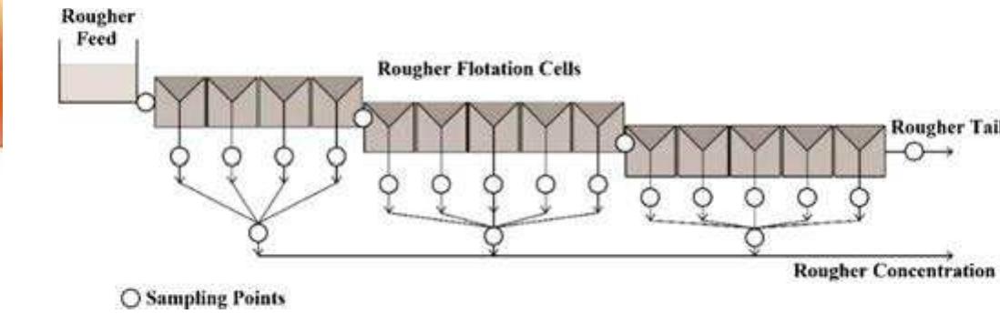 Figure 2. Arrangement and sampling points in the rougher flotation circuit. 