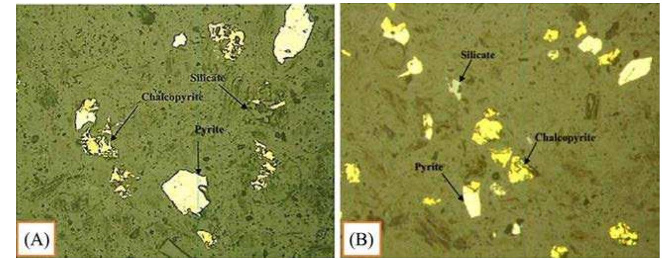Figure 3. Photomicrographs of polished samples from rougher feed of both sections A) first section, B) second section. 