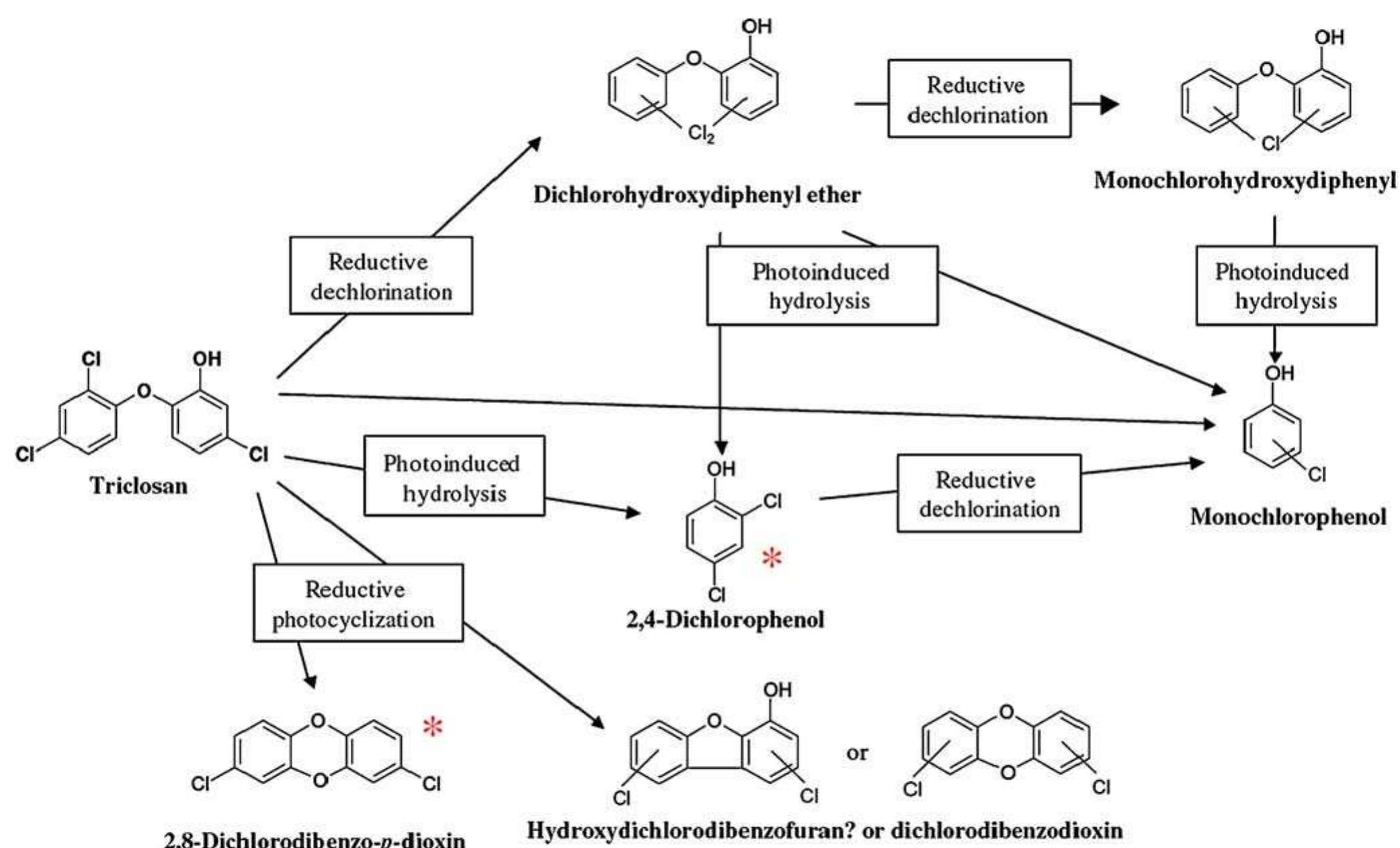 (PDF) Advances in the determination of degradation intermediates of ...