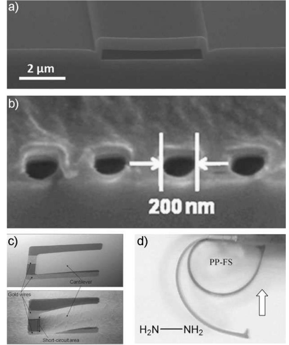 Rapling Poly Figure 13 - from Chemical vapor deposition of conformal,