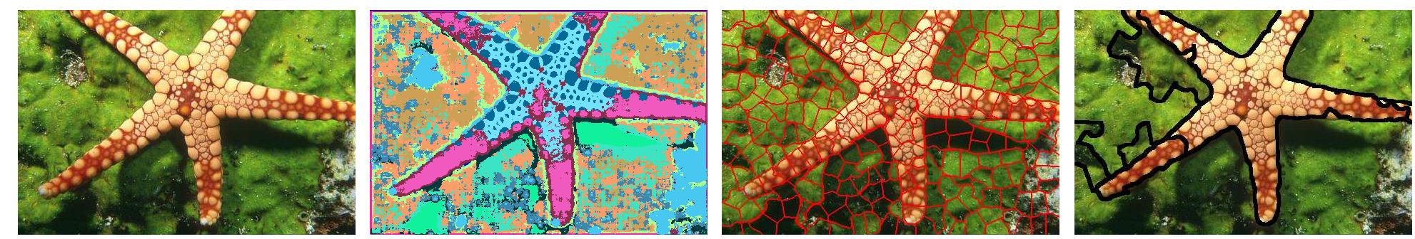 (PDF) Bag of textons for image segmentation via soft clustering and ...