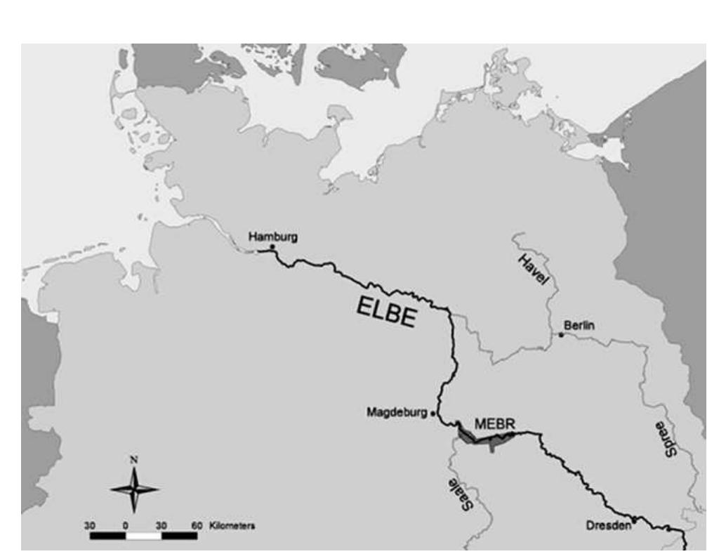 (PDF) Ecosystem management and the conservation of river-floodplain systems