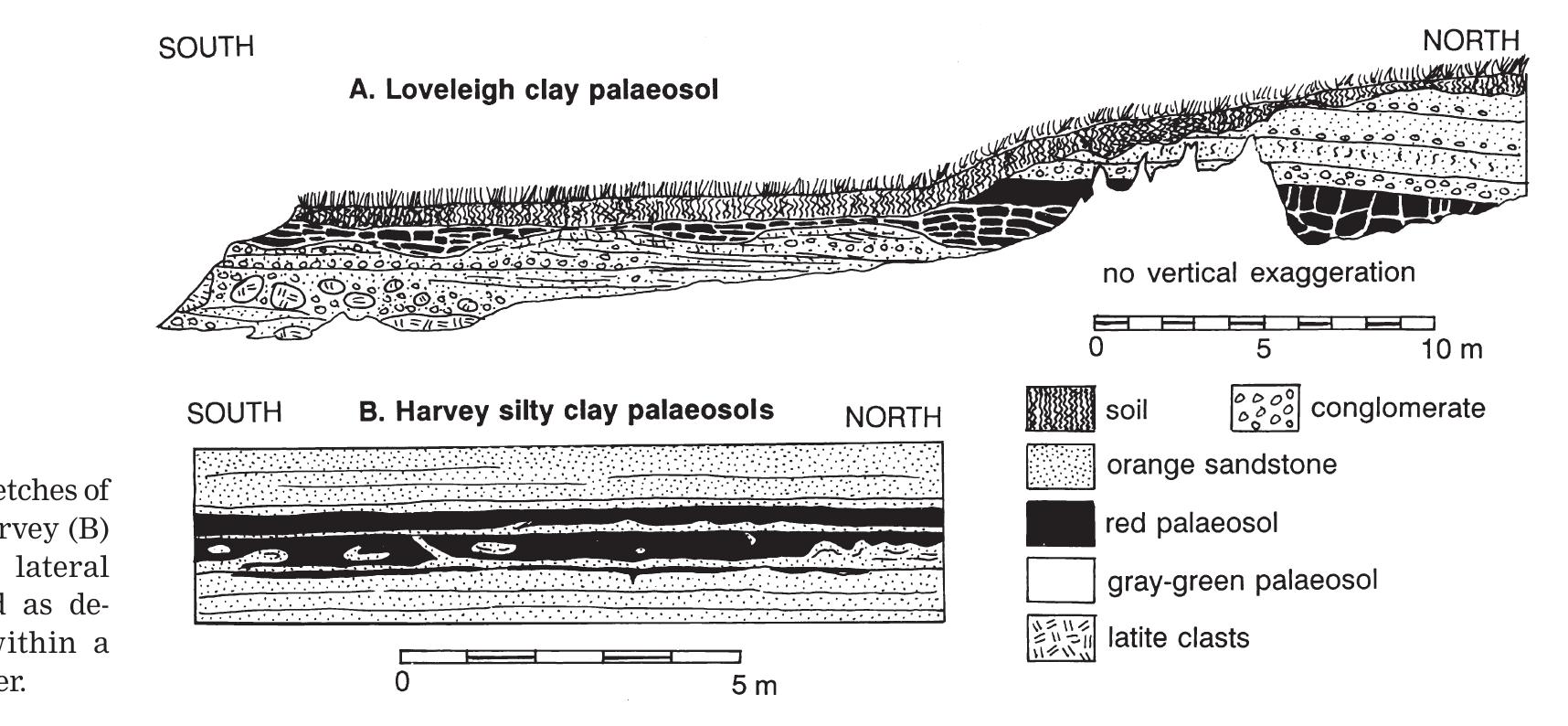 (PDF) Permafrost palaeoclimate of Permian palaeosols in the Gerringong ...