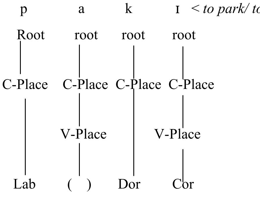 50) consonant/local assimilation (ca) of labial place