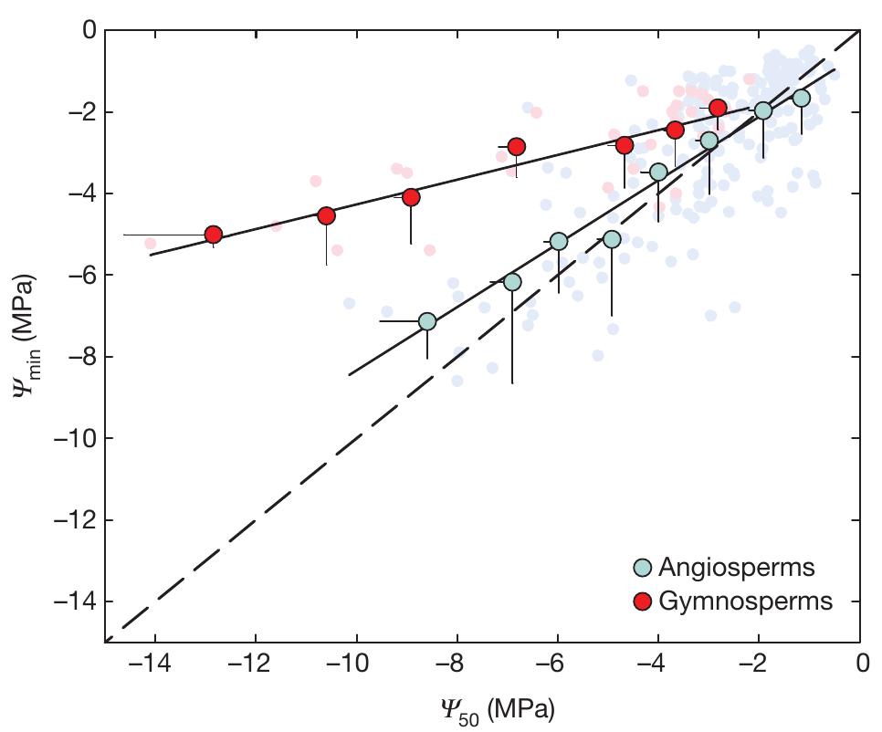 (PDF) Global convergence in the vulnerability of forests to drought