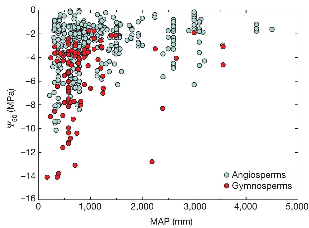 (PDF) Global convergence in the vulnerability of forests to drought