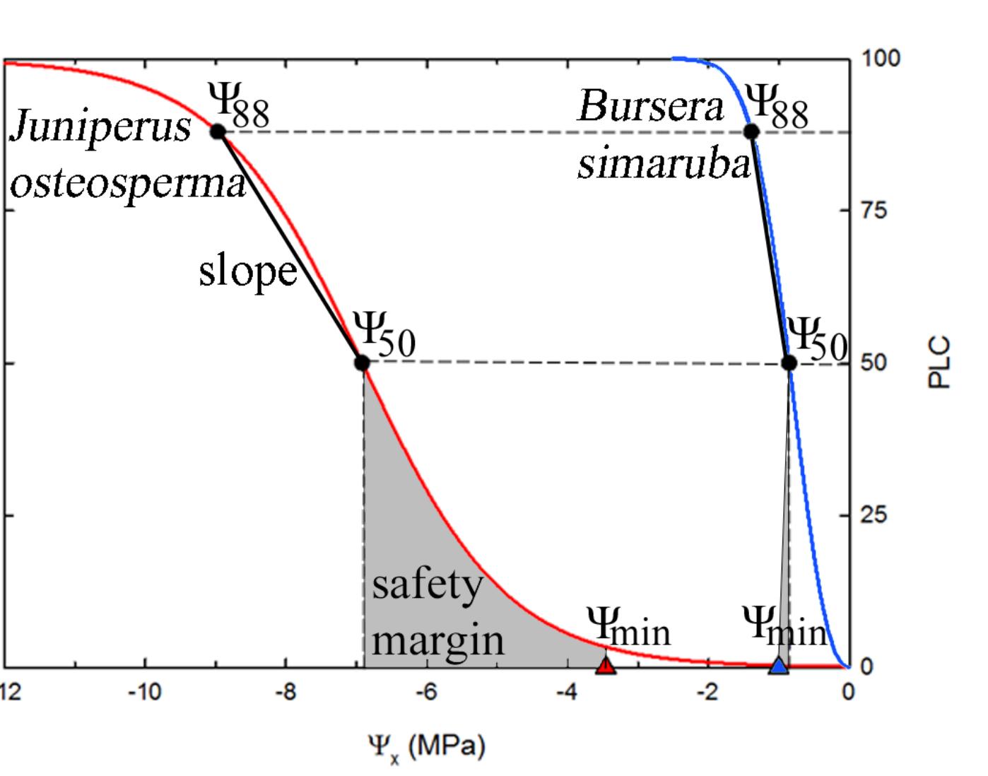 (PDF) Global convergence in the vulnerability of forests to drought