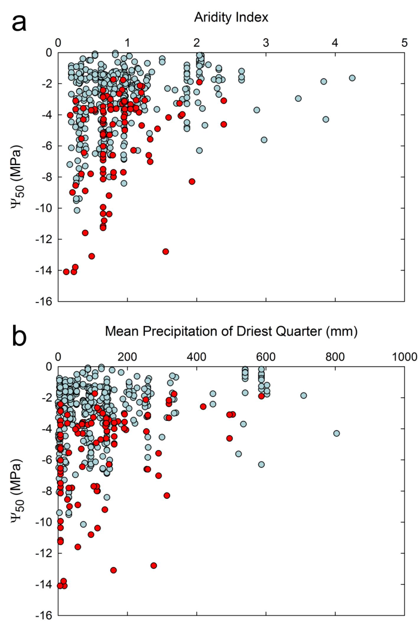 (PDF) Global convergence in the vulnerability of forests to drought
