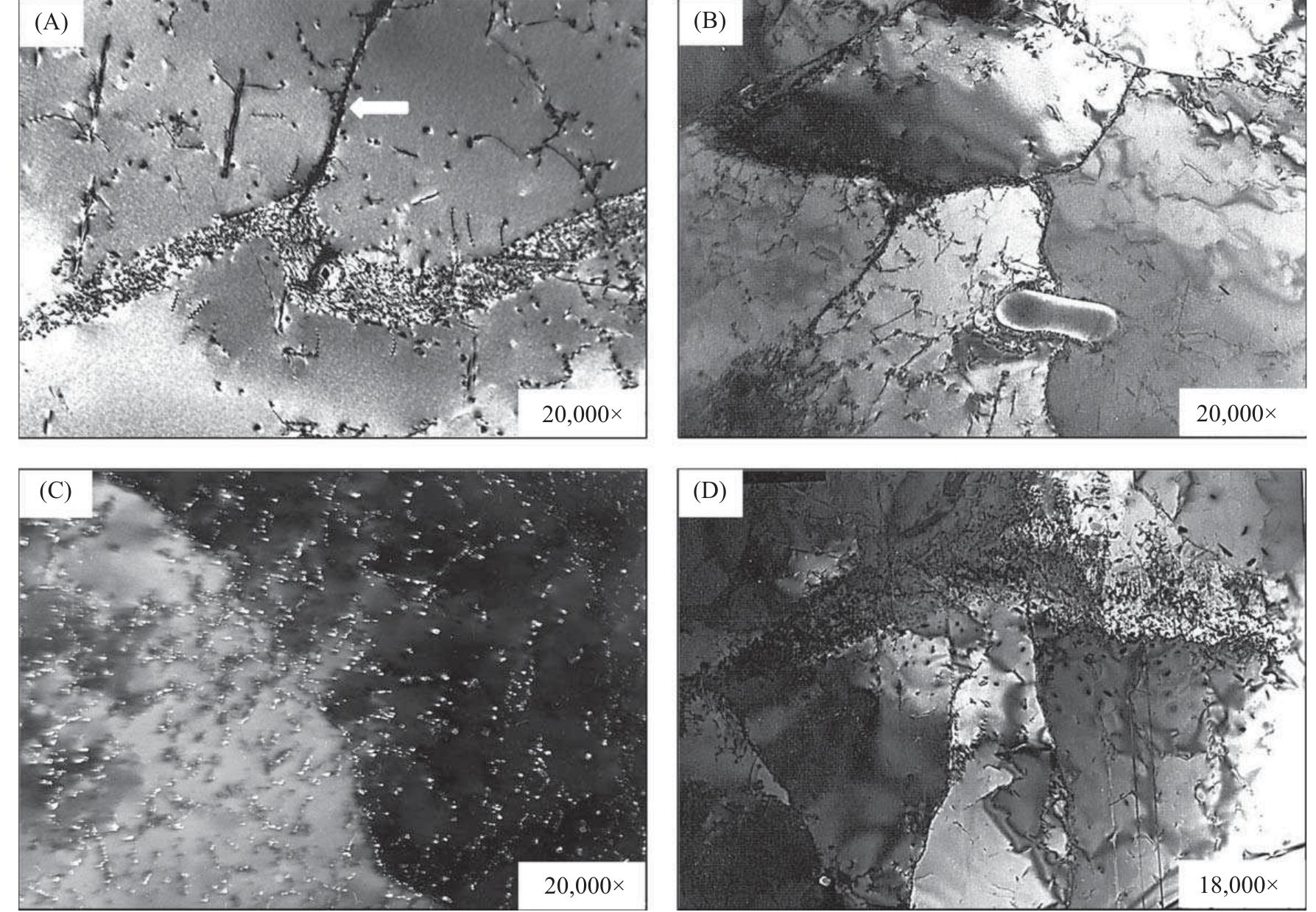 Microstructure of the as-cast ductile iron sample: (a)