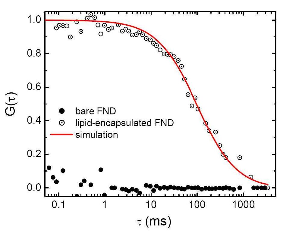 (PDF) Two-Photon Fluorescence Correlation Spectroscopy