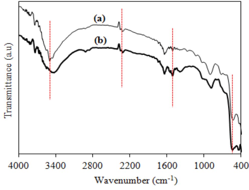 The ftir spectra of (a) synthesized zno nps, and (b)