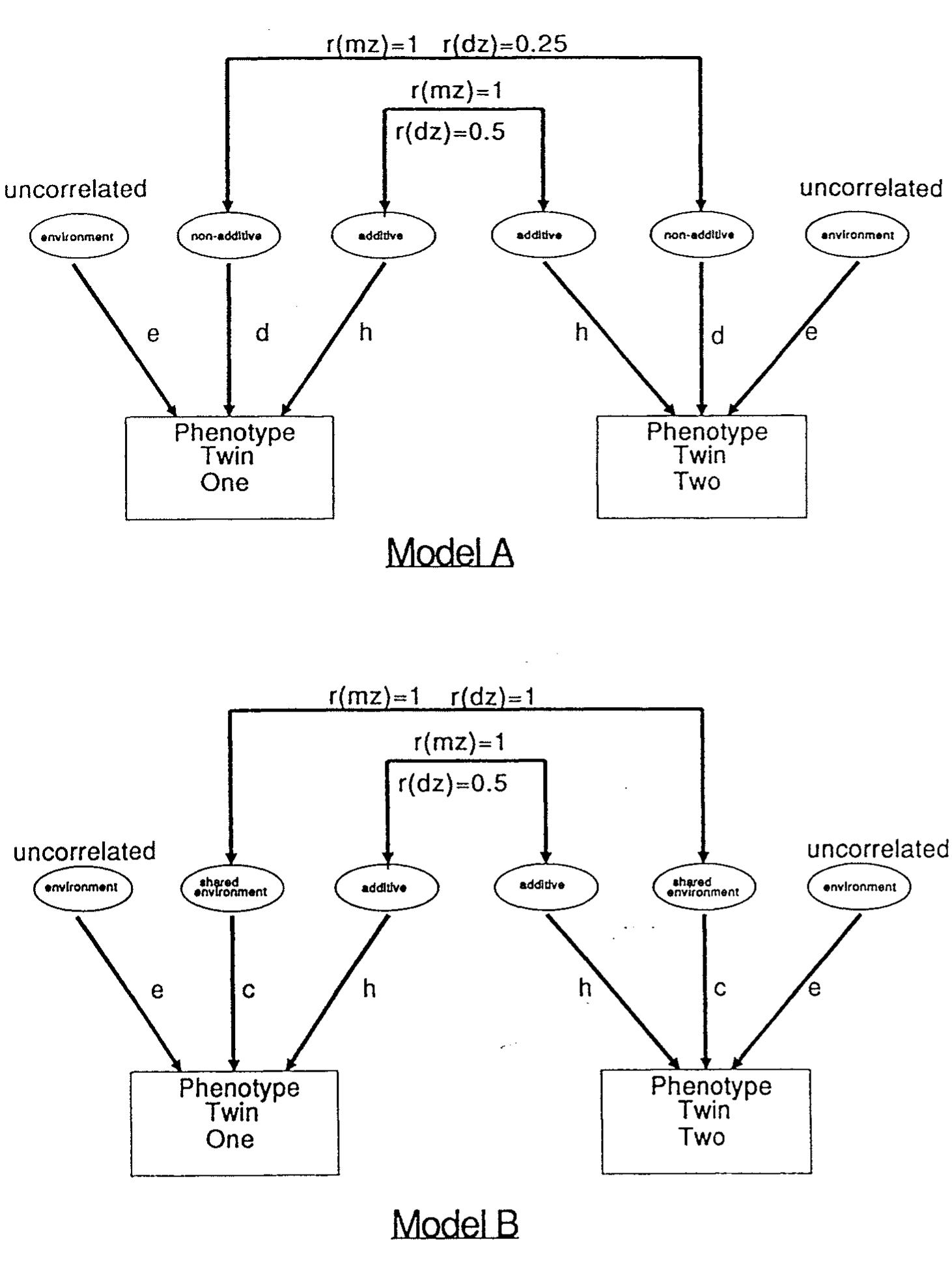 Path diagram of univariate model. path coefficients h, d, c,