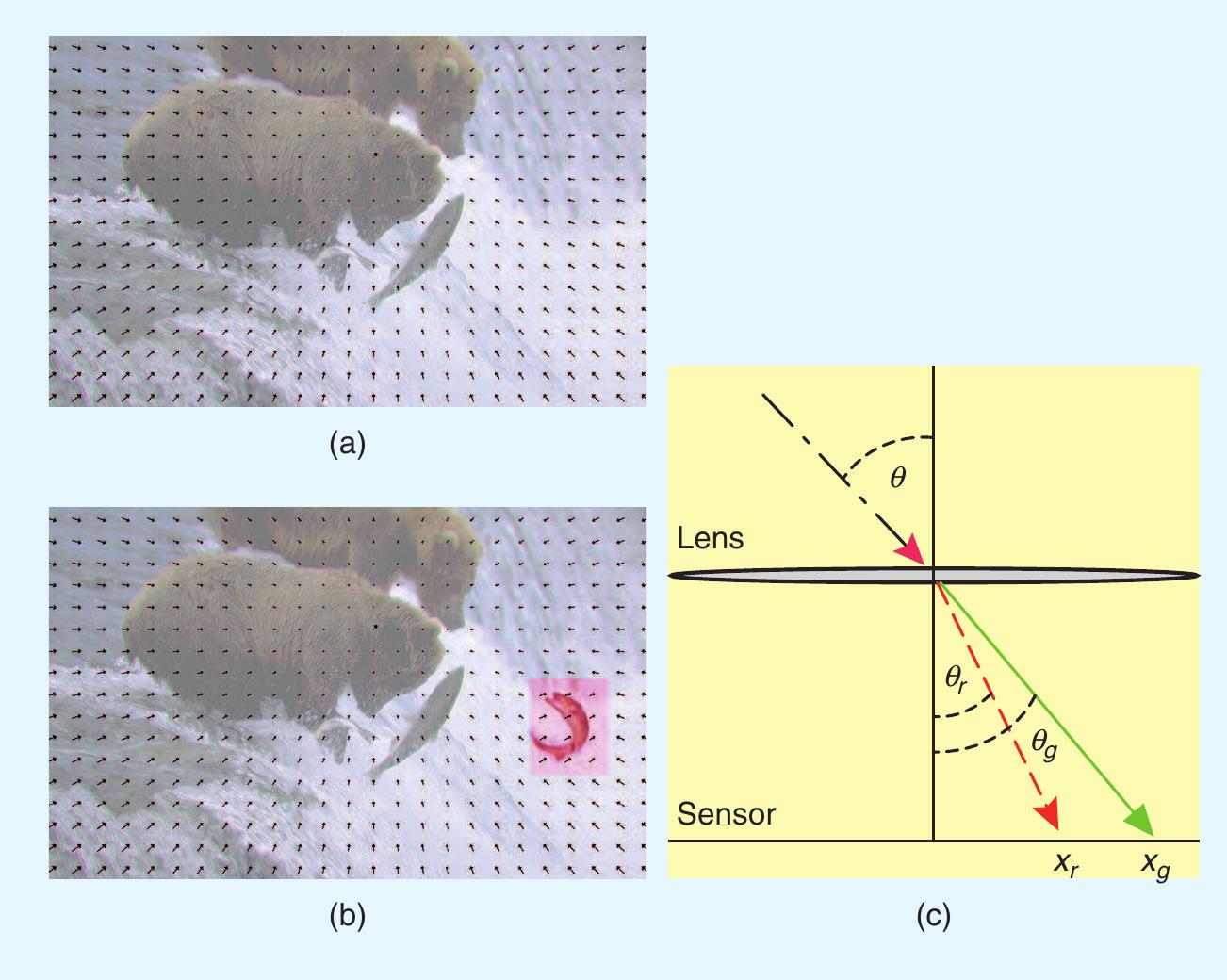 Figure 4 - from Exposing Photo Manipulation with