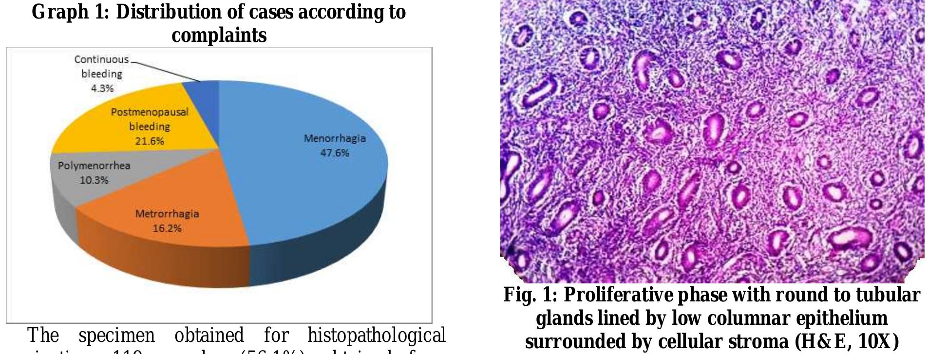 (PDF) Histopathological patterns of endometrial lesions in patients ...