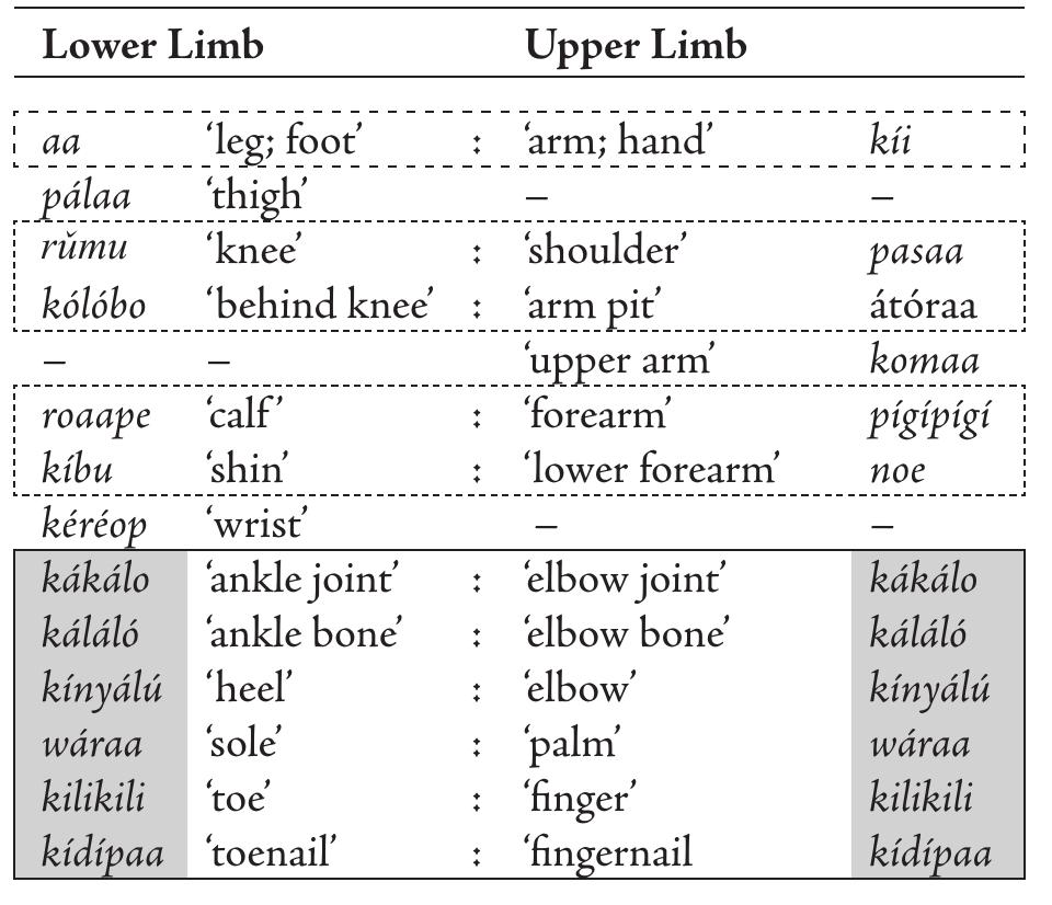Kewa Language Figure 1 - from Analogy Reframed: Markedness, Body
