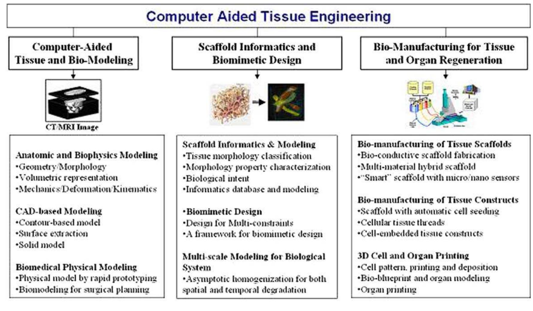Figure 24 - from Bio-CAD modeling and its applications in