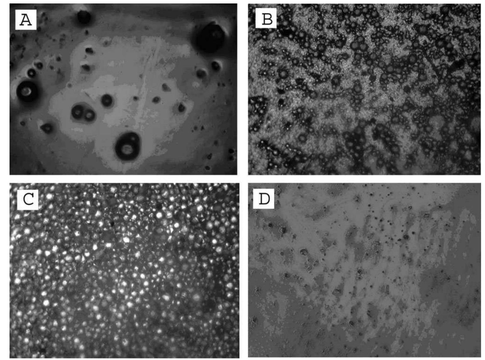 St Microscopy Figure 7 - Synthesis and properties of styrene butylacrylate