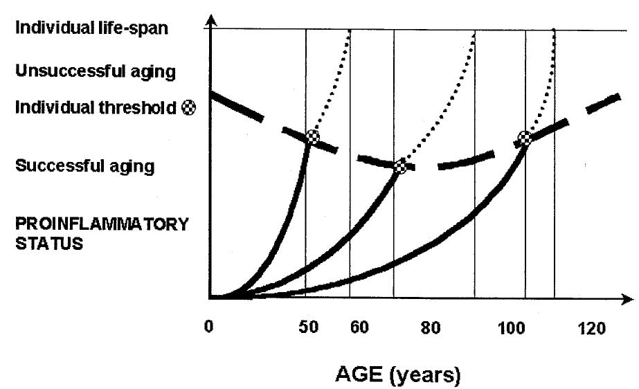 (PDF) Inflamm‐aging: An Evolutionary Perspective on Immunosenescence