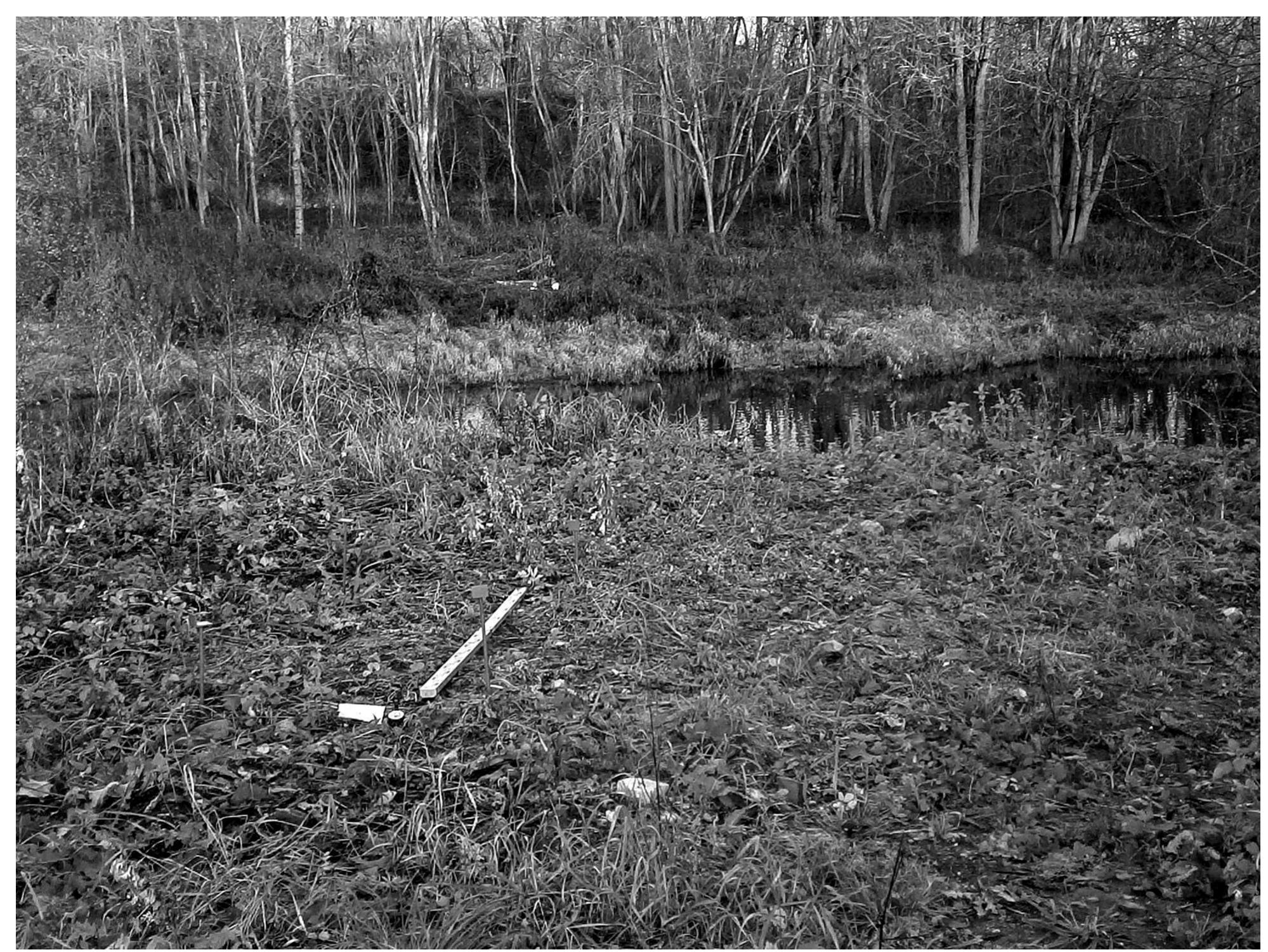 Fig. 5. Find site of the Parupé (Birzai District) axe of Lyngby type and archaeological investigations 