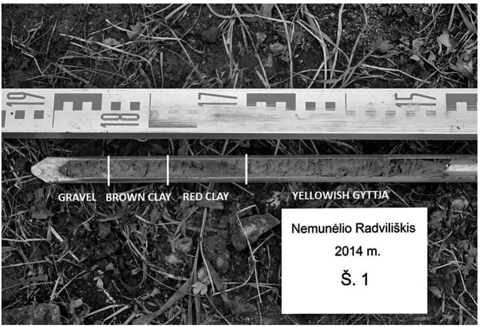 Fig. 7. Bore stratigraphy in the find spot of the Parupé Lyngby type axe: 20 cm thick yellowish clay with knobs of charcoal, 8 cm thick red clay, 6 cm thick brown clay with mineral admixture and a 6 cm thick layer of gravel 