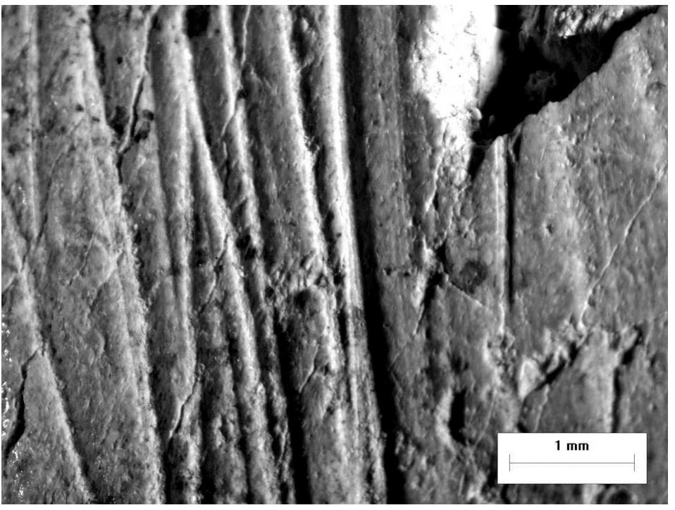 Fig. 13. Grid 1 A magnified to 8x 