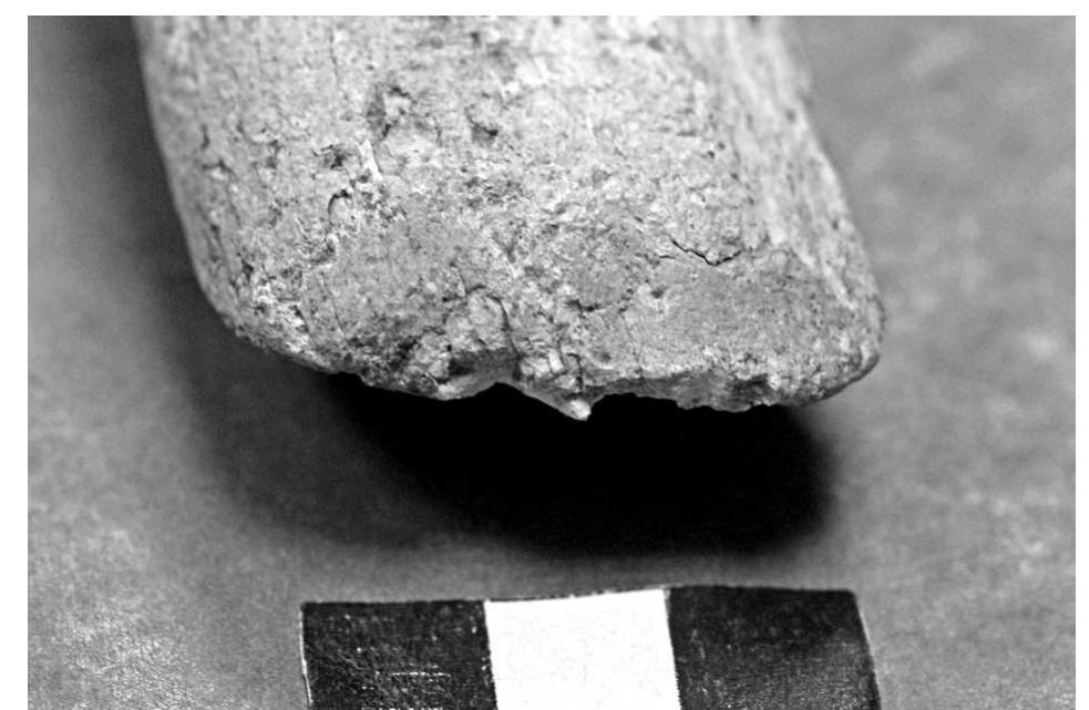 Fig. 14. Macro photo of grid no. 1B 