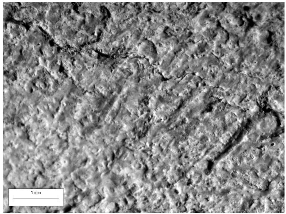 Fig. 16. Grid 2 magnified to 7x  Fig. 15. Grid 1 B magnified to 8x 