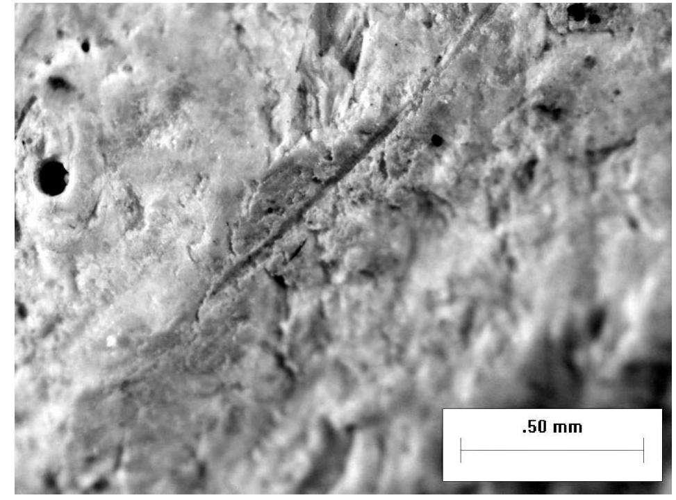 Fig. 18. Grid 3 A magnified to 25x  Fig. 17, Macro photo of grid no. 3 A 