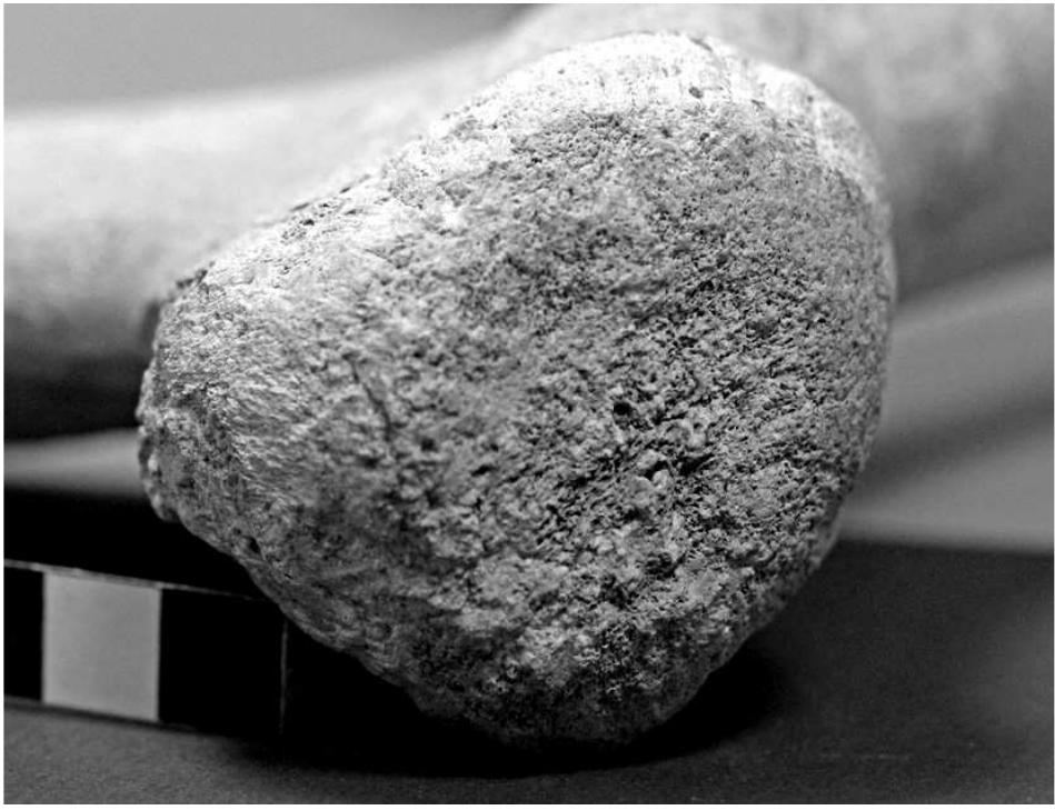 Fig. 19. Macro photo of grid no. 3 B 