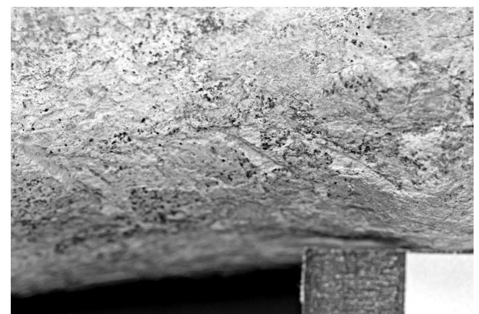 Fig. 20. Macro photo of grid 4 