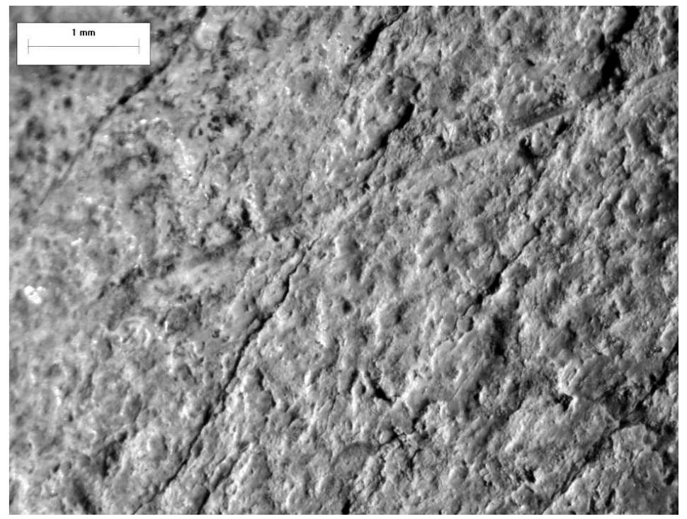 Fig. 22. Grid 4 magnified to 16x  Fig. 21. Grid 4 magnified to 7x 