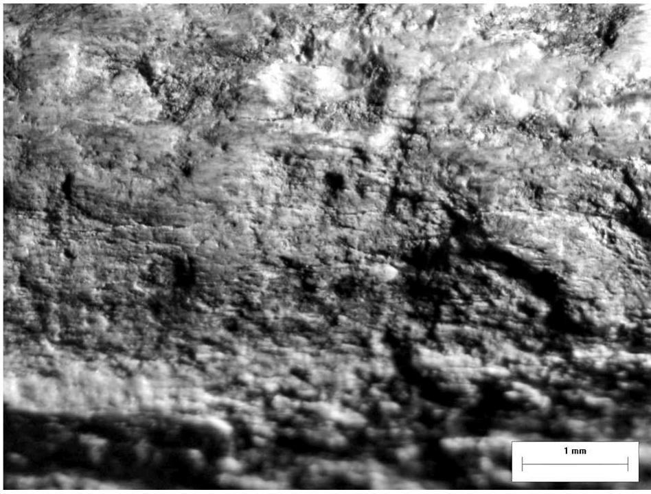 Fig. 24. Grids 5 A and 5 B magnified to 7x 