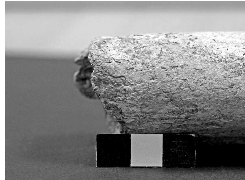 Fig. 25. Macro photo of grids 6 A and 6 B 